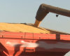 Produtividade de milho em MT cresce 4%; produo esperada de 45 milhes toneladas